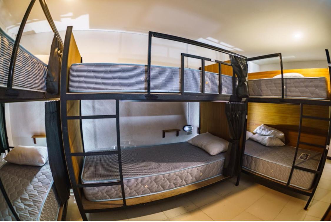 8-Bed Mixed Dormitory Room,1244628781:JPEG