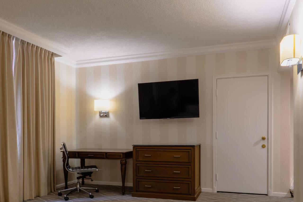 Executive King Room,1273577299:JPEG