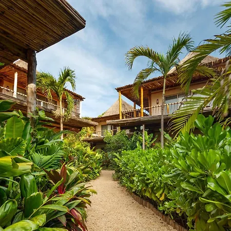Hotel Shibari - Restaurant & Cenote Club-3