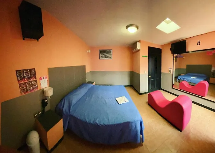 Motel Flamingos