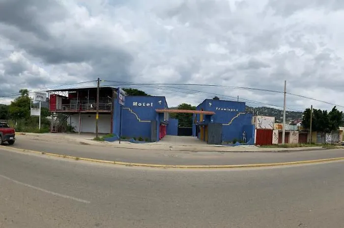 Motel Flamingos