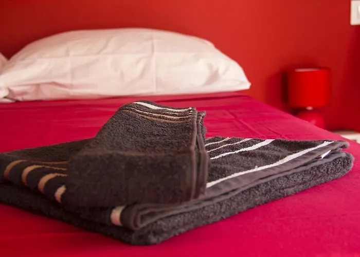 Perros hoteles Colors Rooms