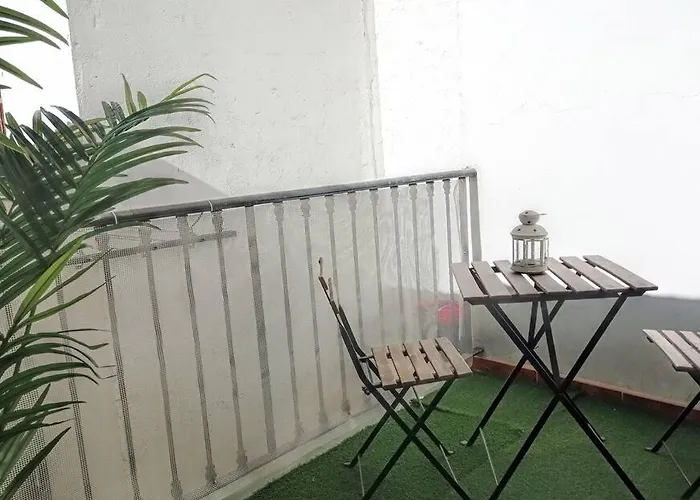Perros hoteles Inhome