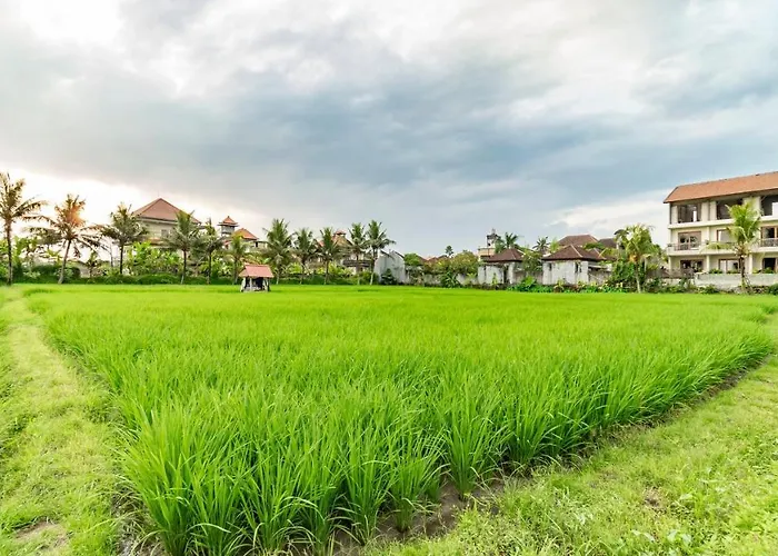 Casa de huéspedes: Juli House Ubud By Mahaputra