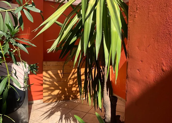  Coyoacan
