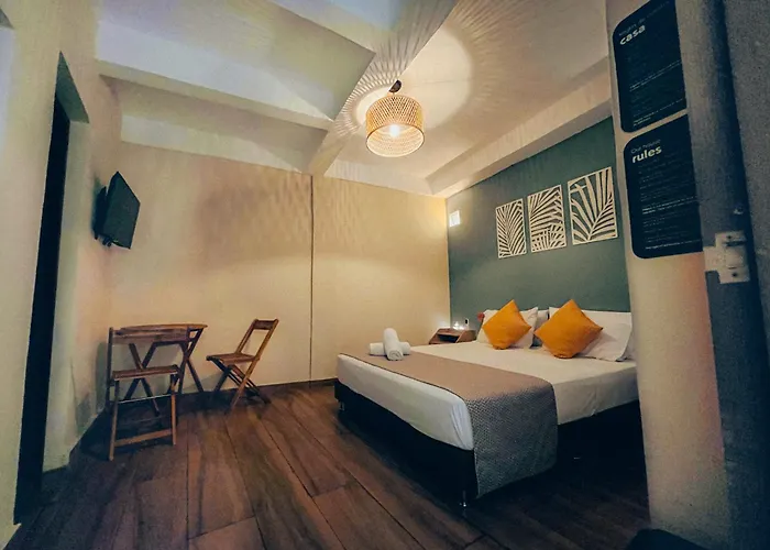 Perros hoteles Viajero Hostel