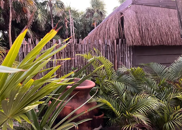 Perros hoteles Amana Tulum, Beach Front