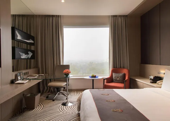  Sheraton New Delhi