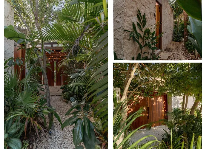  Entorno Tulum - Luxury