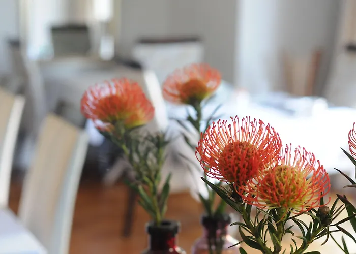 Abbey Manor Luxury Guesthouse