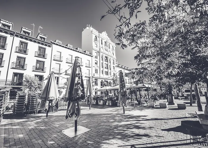  Prado