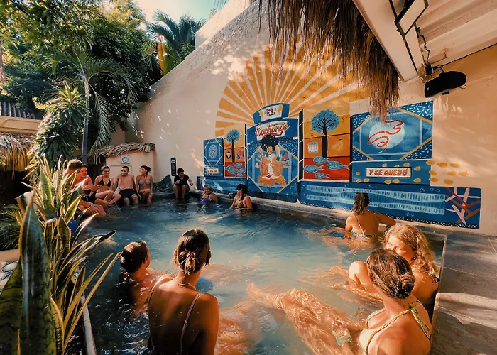 Perros hoteles Viajero Hostel