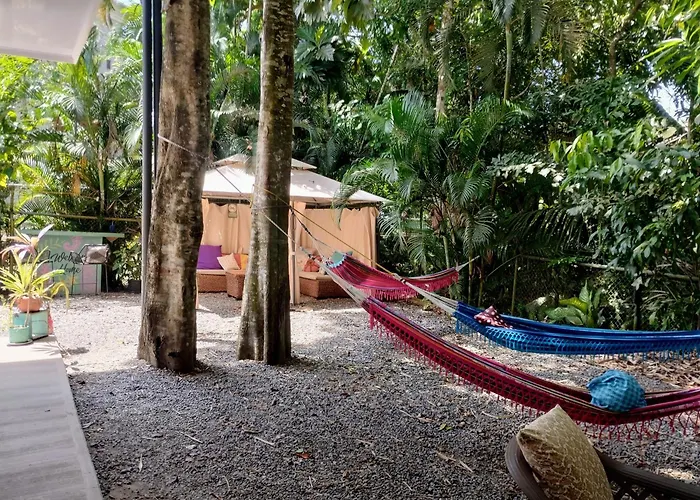 Casajungla