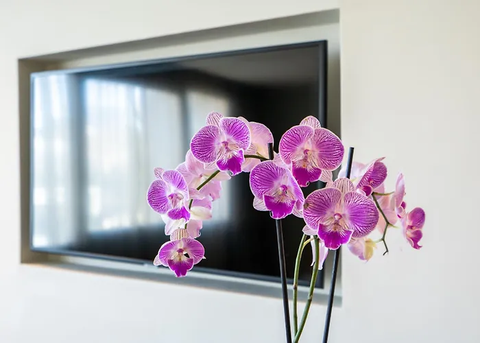 JM Suites Hotel Eco-Friendly Casablanca
