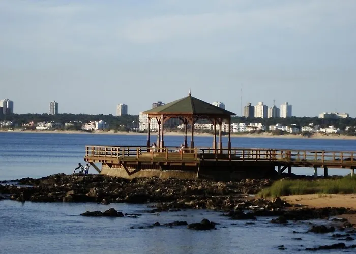 ZAG Coliving Punta del este