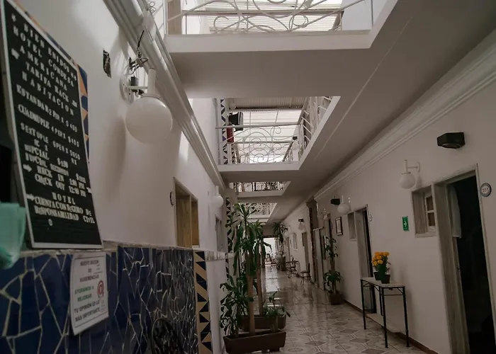 Condesa Americana