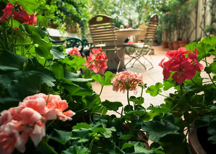 Albergue: Vienna Hostel Ruthensteiner