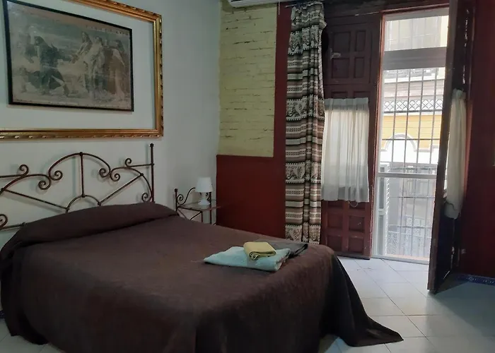 Perros hoteles Pension Vergara, Sevilla